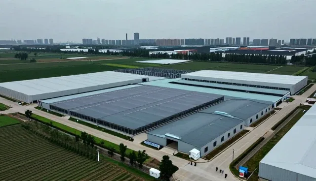流程优化在供应链性能提升中的关键作用